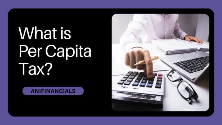 What is Per Capita Tax?
